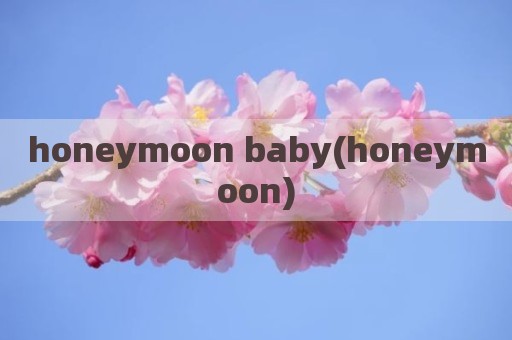 honeymoon baby(honeymoon)