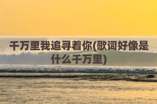 千万里我追寻着你(歌词好像是什么千万里)
