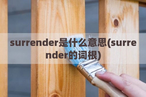 surrender是什么意思(surrender的词根)