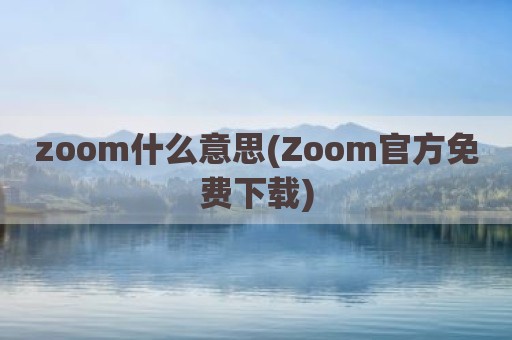 zoom什么意思(Zoom官方免费下载)