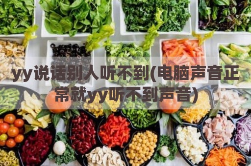 yy说话别人听不到(电脑声音正常就yy听不到声音)