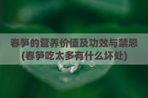 春笋的营养价值及功效与禁忌(春笋吃太多有什么坏处)