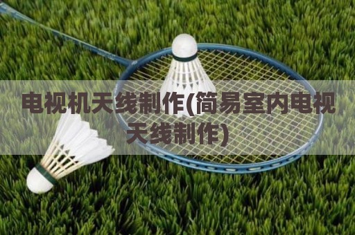 电视机天线制作(简易室内电视天线制作)