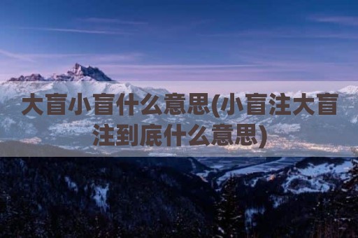 大盲小盲什么意思(小盲注大盲注到底什么意思)