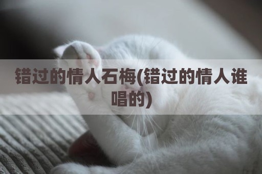 错过的情人石梅(错过的情人谁唱的)