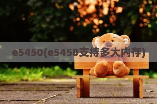 e5450(e5450支持多大内存)