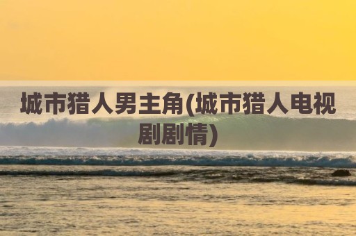 城市猎人男主角(城市猎人电视剧剧情)