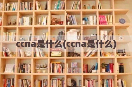 ccna是什么(ccna是什么)