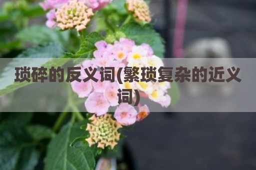 琐碎的反义词(繁琐复杂的近义词)