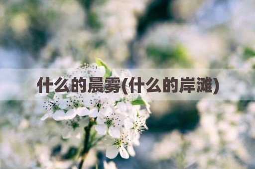 什么的晨雾(什么的岸滩)
