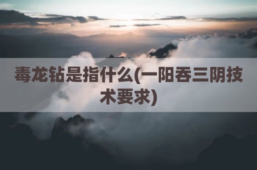 毒龙钻是指什么(一阳吞三阴技术要求)