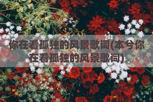 你在看孤独的风景歌词(本兮你在看孤独的风景歌词)