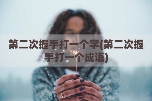 第二次握手打一个字(第二次握手打一个成语)