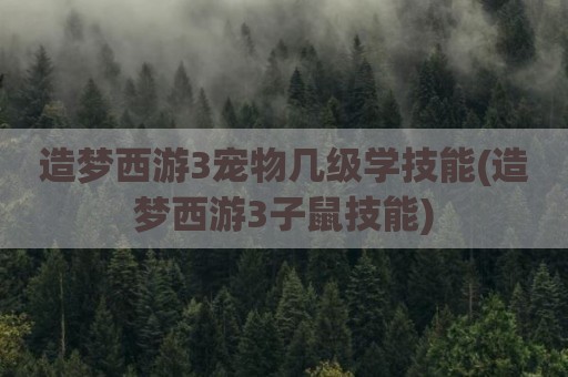 造梦西游3宠物几级学技能(造梦西游3子鼠技能)