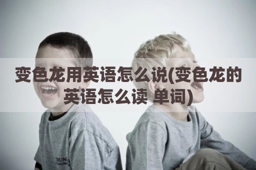 变色龙用英语怎么说(变色龙的英语怎么读 单词)