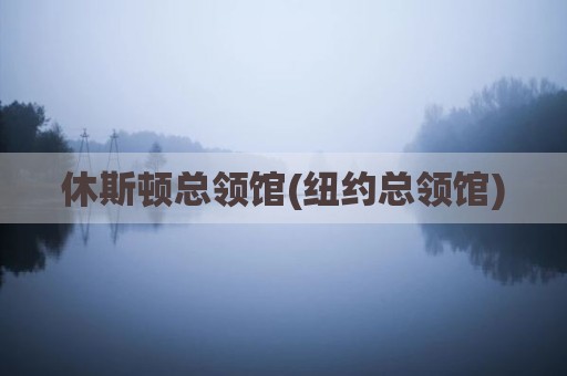 休斯顿总领馆(纽约总领馆)