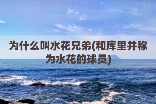 为什么叫水花兄弟(和库里并称为水花的球员)