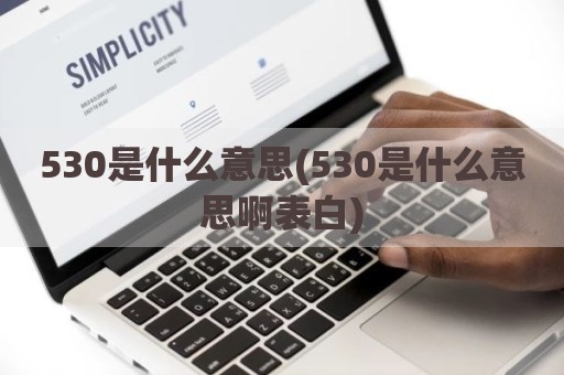 530是什么意思(530是什么意思啊表白)