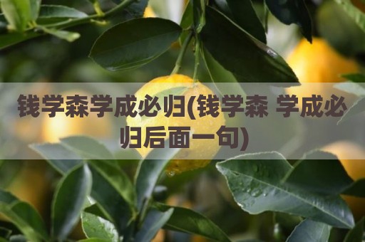 钱学森学成必归(钱学森 学成必归后面一句)