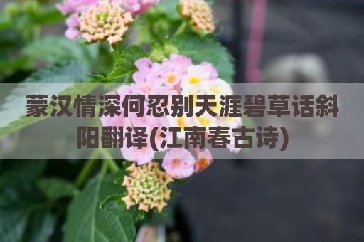 蒙汉情深何忍别天涯碧草话斜阳翻译(江南春古诗)