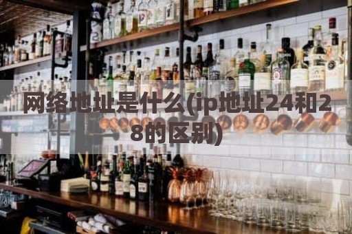网络地址是什么(ip地址24和28的区别)