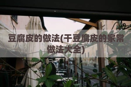 豆腐皮的做法(干豆腐皮的家常做法大全)
