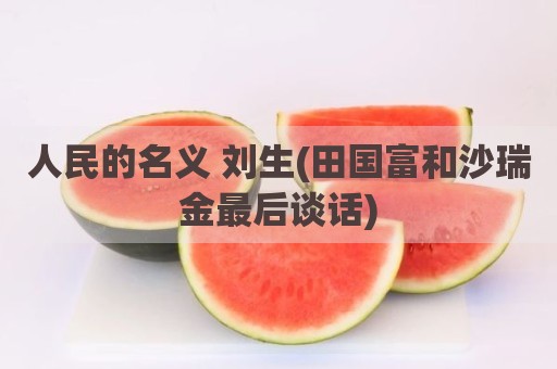 人民的名义 刘生(田国富和沙瑞金最后谈话)