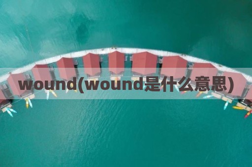 wound(wound是什么意思)