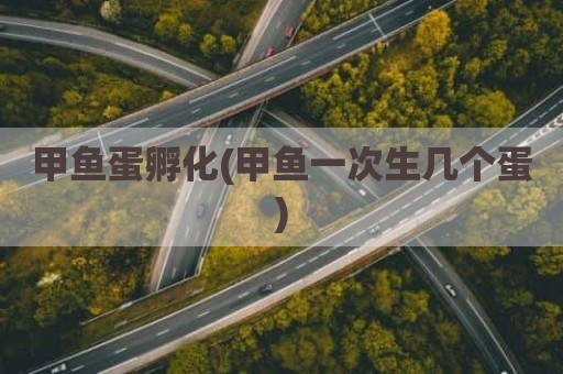 甲鱼蛋孵化(甲鱼一次生几个蛋)