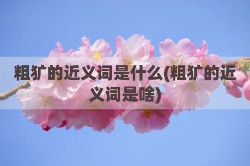 粗犷的近义词是什么(粗犷的近义词是啥)