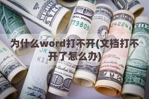为什么word打不开(文档打不开了怎么办)