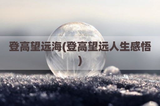 登高望远海(登高望远人生感悟)