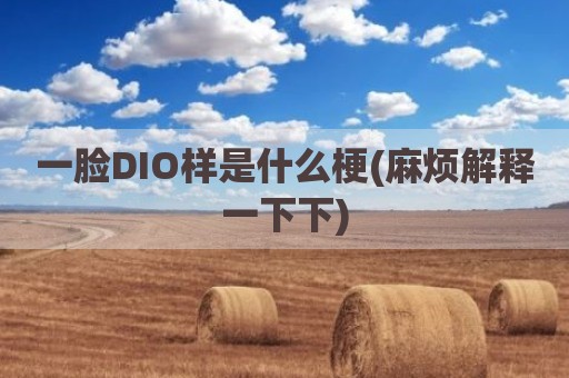 一脸DIO样是什么梗(麻烦解释一下下)