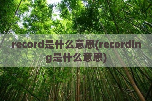 record是什么意思(recording是什么意思)