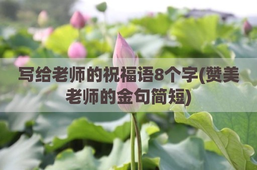 写给老师的祝福语8个字(赞美老师的金句简短)