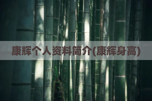康辉个人资料简介(康辉身高)