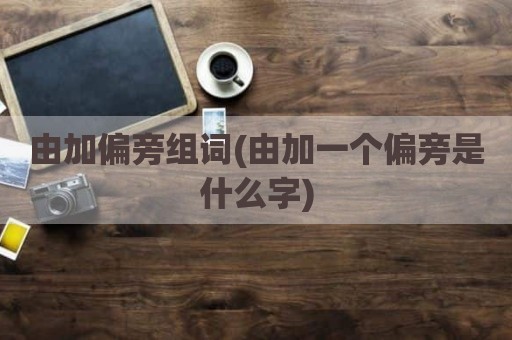 由加偏旁组词(由加一个偏旁是什么字)