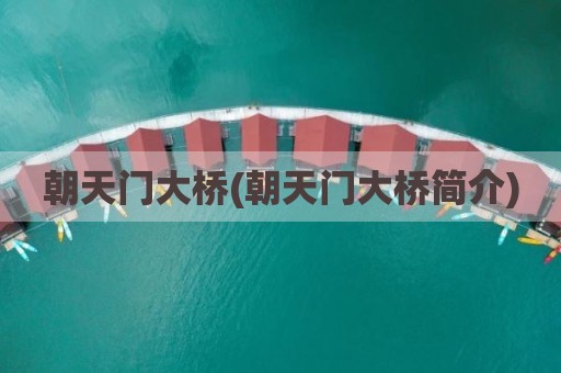 朝天门大桥(朝天门大桥简介)