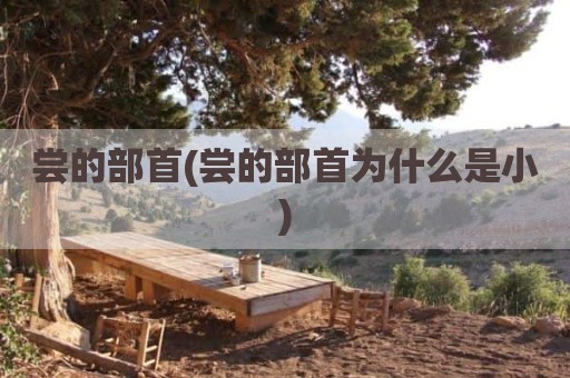 尝的部首(尝的部首为什么是小)