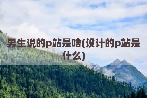 男生说的p站是啥(设计的p站是什么)