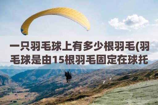 一只羽毛球上有多少根羽毛(羽毛球是由15根羽毛固定在球托上)
