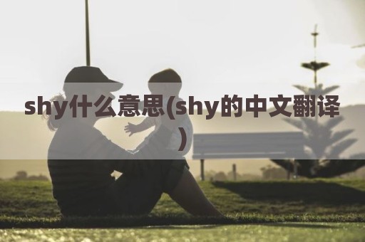 shy什么意思(shy的中文翻译)