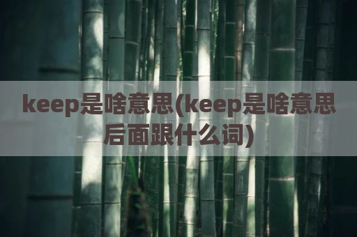 keep是啥意思(keep是啥意思后面跟什么词)