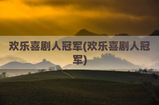 欢乐喜剧人冠军(欢乐喜剧人冠军)