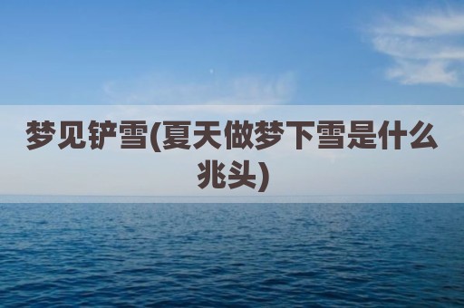 梦见铲雪(夏天做梦下雪是什么兆头)