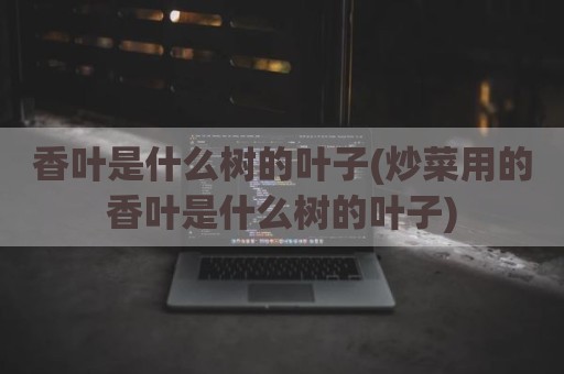 香叶是什么树的叶子(炒菜用的香叶是什么树的叶子)