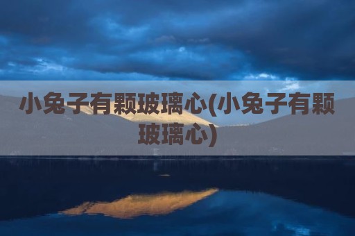 小兔子有颗玻璃心(小兔子有颗玻璃心)
