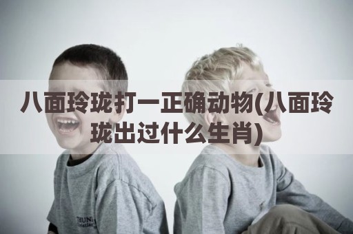 八面玲珑打一正确动物(八面玲珑出过什么生肖)