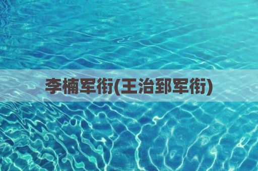 李楠军衔(王治郅军衔)