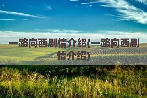 一路向西剧情介绍(一路向西剧情介绍)